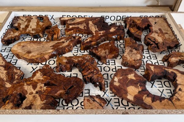 Piezas de madera de olivo humedecidas para revelar la veta y comprobar la composición del tablero antes del vertido de resina epoxi.